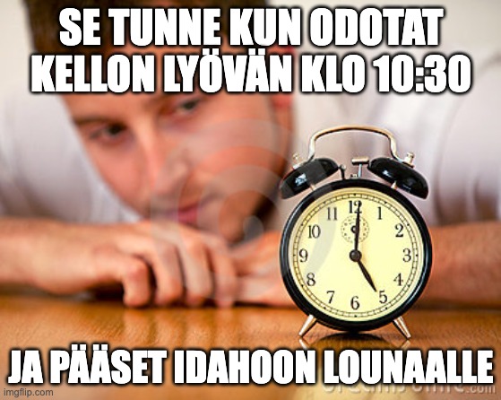 Lounas, Tampere, Ravintola Idaho